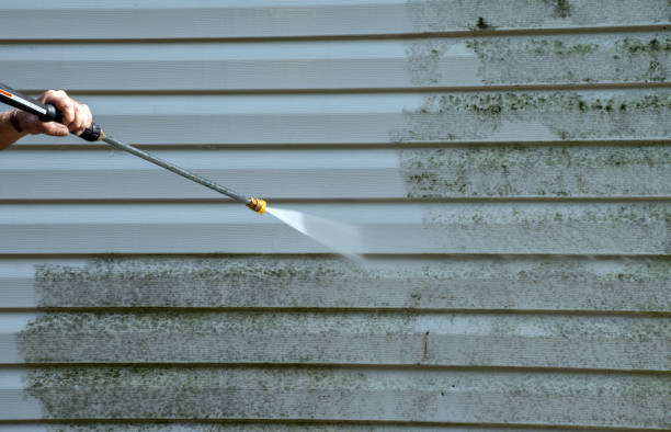 Best Deck Cleaning Services  in Lakemont, PA