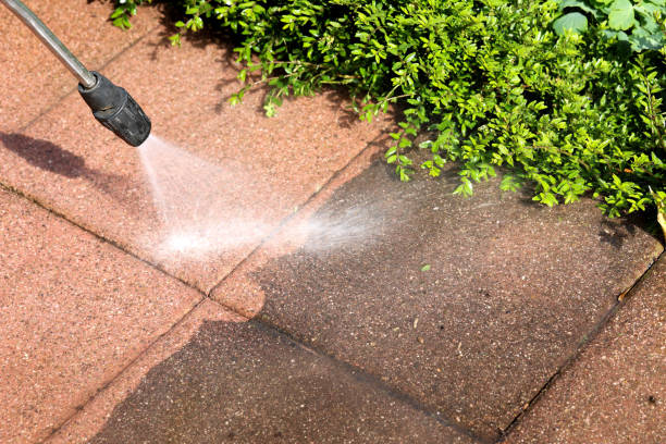 Best Roof Pressure Washing  in Lakemont, PA